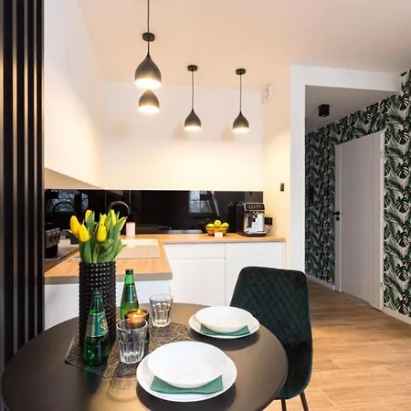 Bianco Daire Çestohova